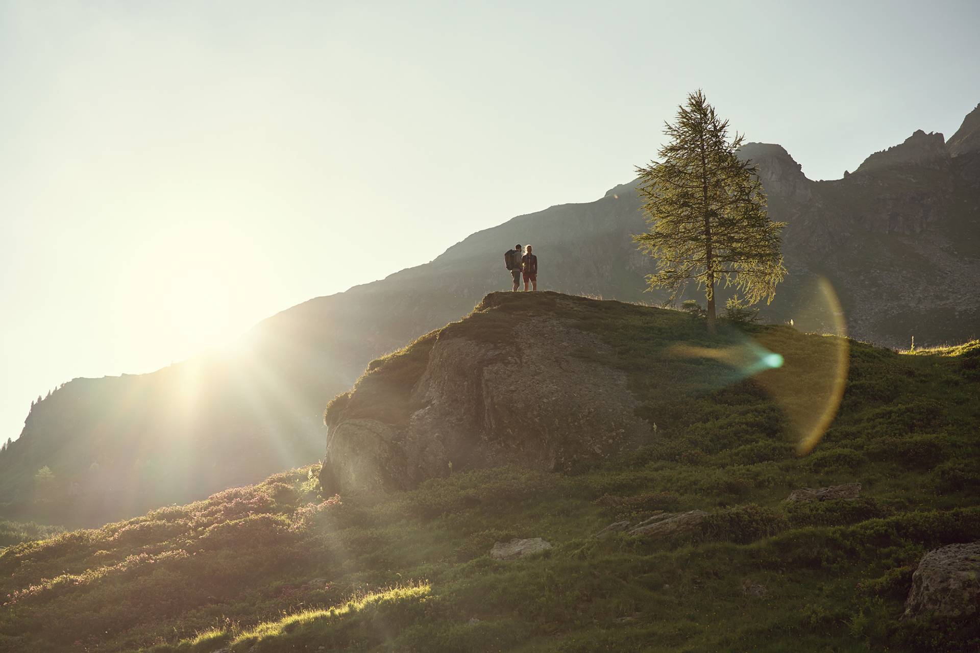 burgfellnerhof wandern bergauf 1